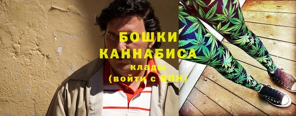 амф Пересвет