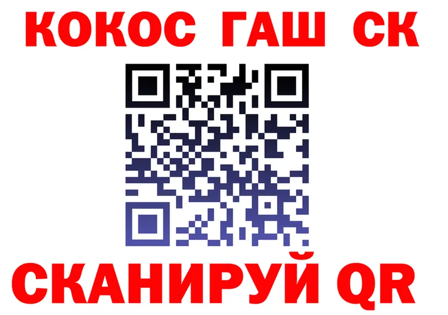 Альфа ПВП СК ТОР shop МЕГА Киселёвск